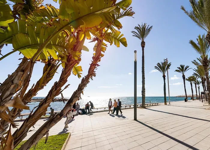 Calle Concordia 86, Two Bedroom Apartment, Up To 6 Guests, Near Del Cura Beach,supermarket Mercadona And Bus Station Torrevieja